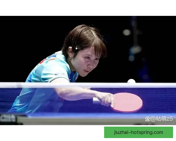 丁宁对阵平野美宇经典回放国乒经验与冲击力的巅峰较量全程解析